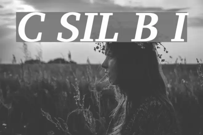 Charis SIL Bold Italic Font examples