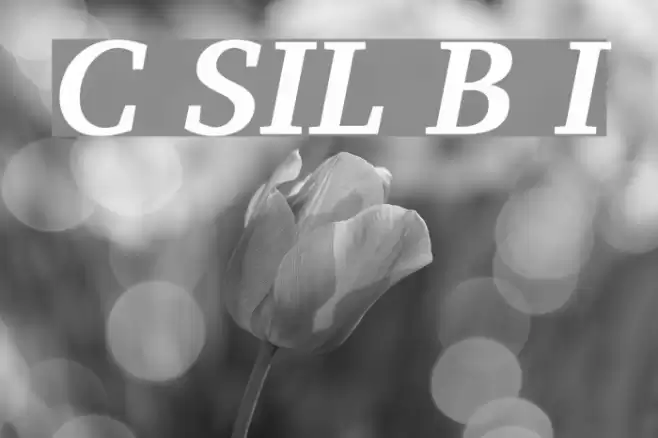 Charis SIL Bold Italic Font examples