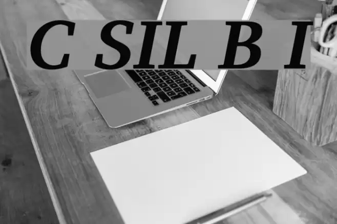 Charis SIL Bold Italic Font examples