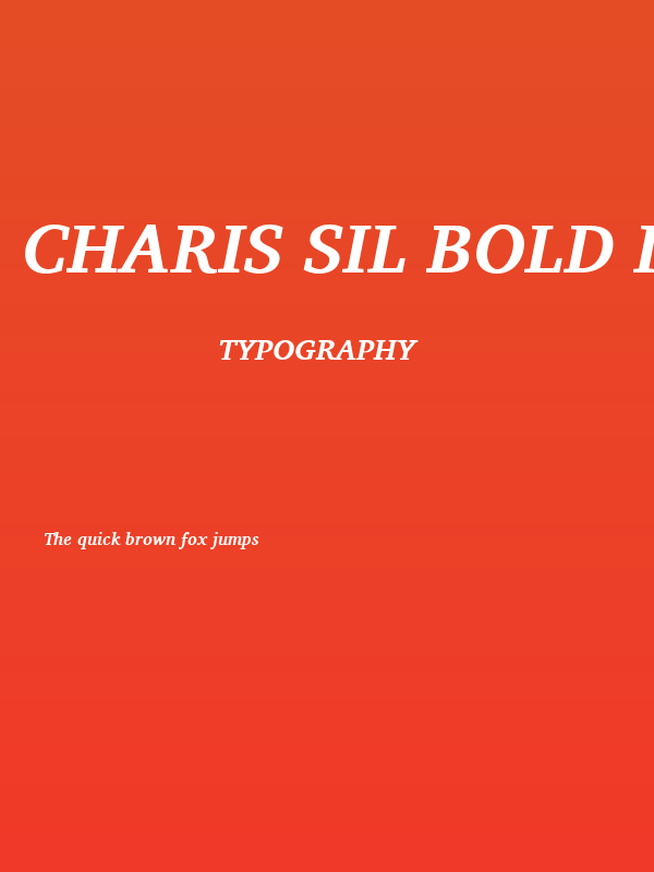 Charis SIL Bold Italic Poster