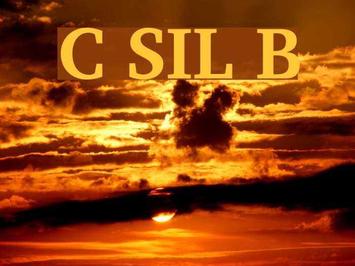 Charis SIL Bold Font examples