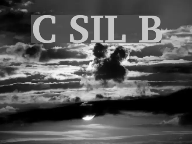 Charis SIL Bold خط examples