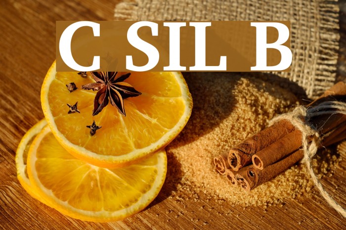 Charis SIL Bold Font examples