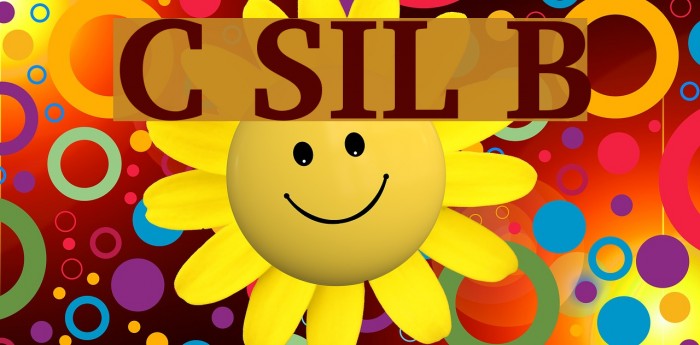Charis SIL Bold Font examples