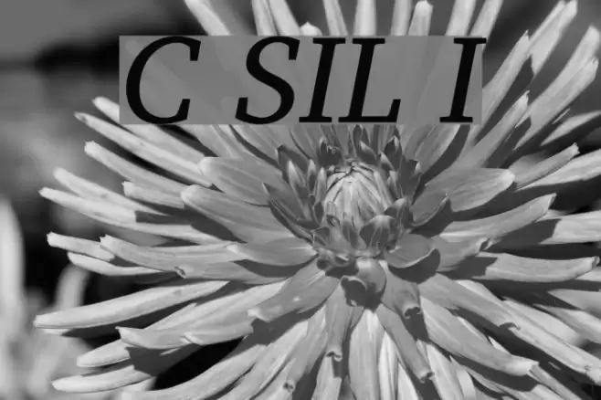 Charis SIL Italic Font examples