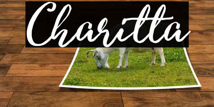 Charitta Font examples