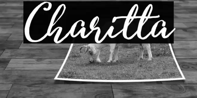 Charitta Fonte examples