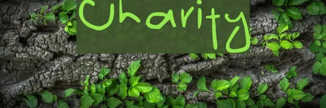 Charity Example 1