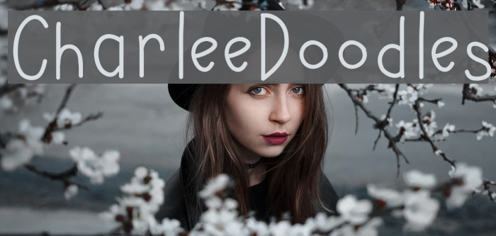 CharleeDoodles Font examples
