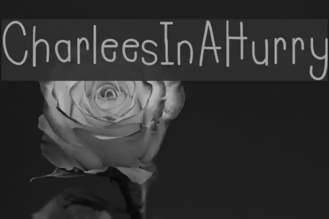 CharleesInAHurry Font examples