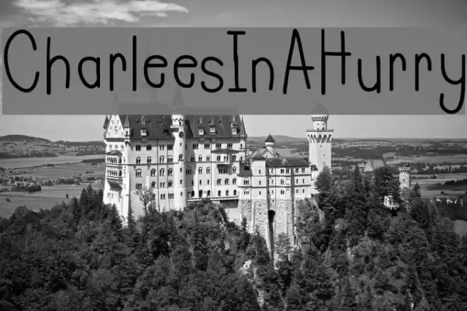CharleesInAHurry Font examples