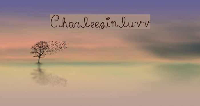 Charleesinluvv Font examples
