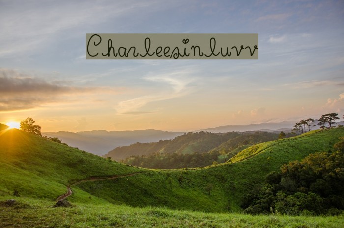 Charleesinluvv Font examples