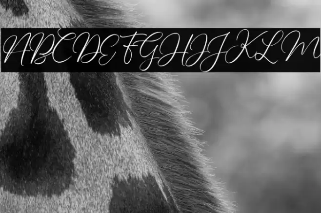 Charleigh Font examples