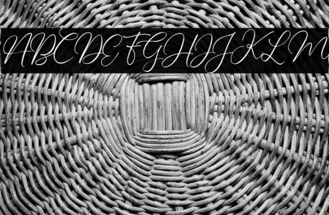 Charleigh Font examples