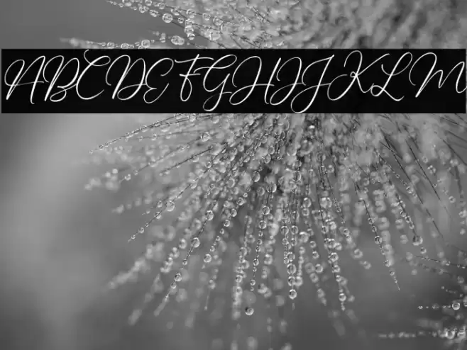 Charleigh Font examples