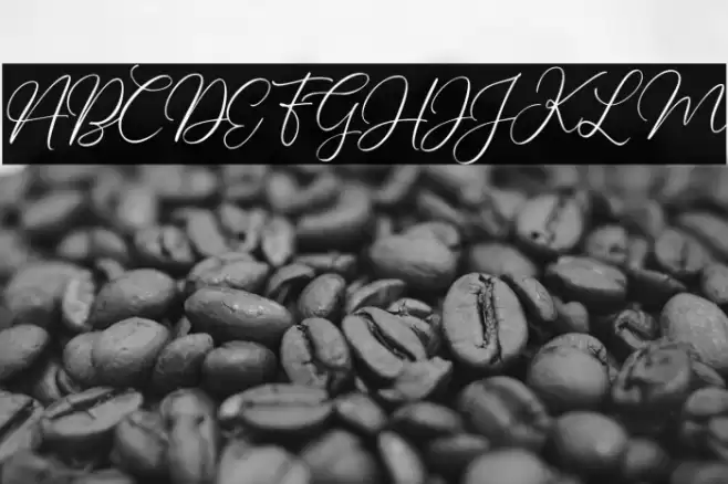 Charleigh Font examples