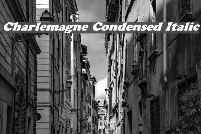 Charlemagne Condensed Italic Font examples