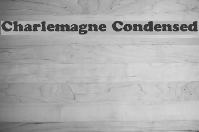 Charlemagne Condensed Fonte examples