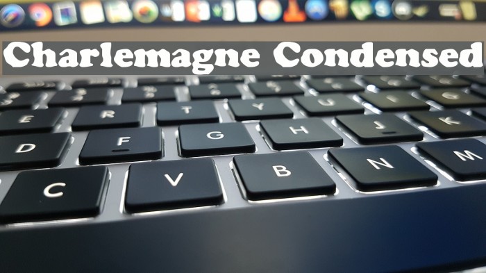 Charlemagne Condensed Font examples
