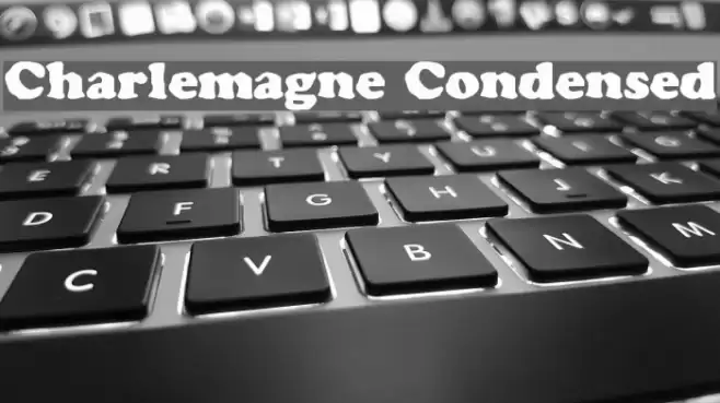 Charlemagne Condensed Fonte examples