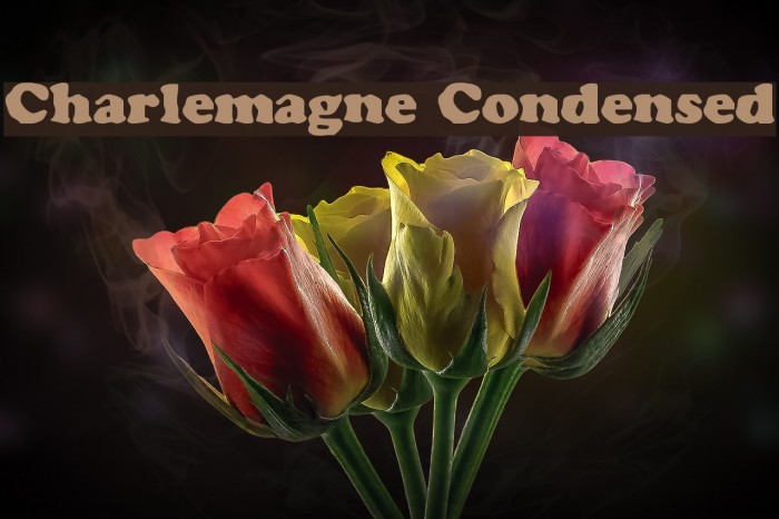 Charlemagne Condensed Font examples