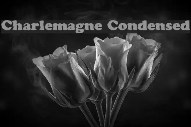 Charlemagne Condensed Fonte examples