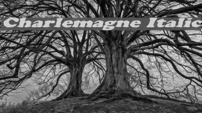 Charlemagne Italic Font examples