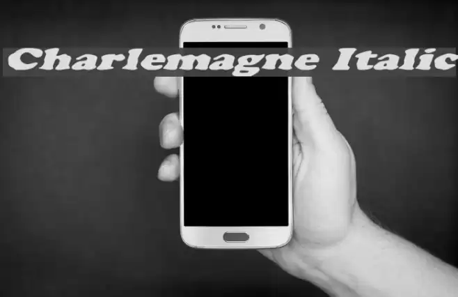 Charlemagne Italic Font examples