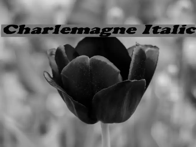 Charlemagne Italic Font examples