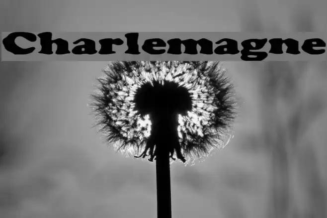Charlemagne Font examples