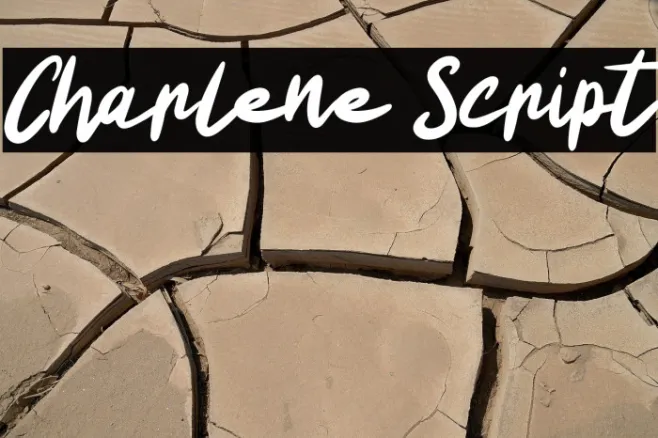 Charlene Script Example 1