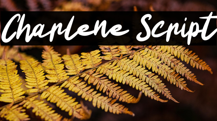 Charlene Script Example 3