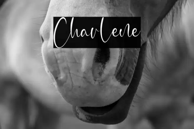 Charlene Font examples