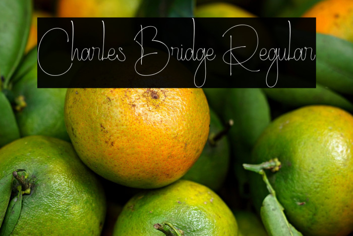 Charles Bridge Regular Example 1