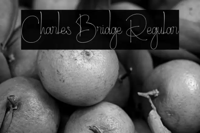 Charles Bridge Regular Font examples