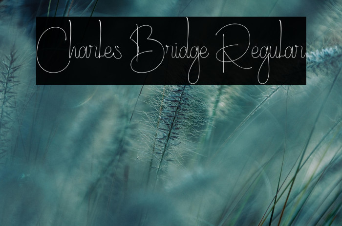 Charles Bridge Regular Example 2