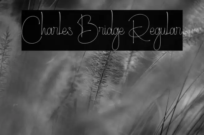 Charles Bridge Regular Font examples