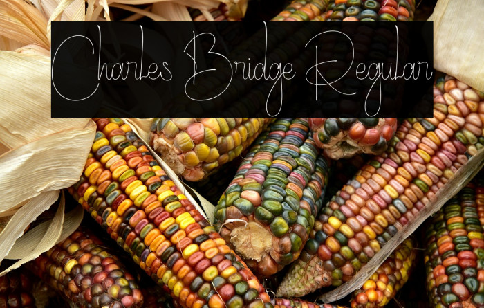 Charles Bridge Regular Example 3