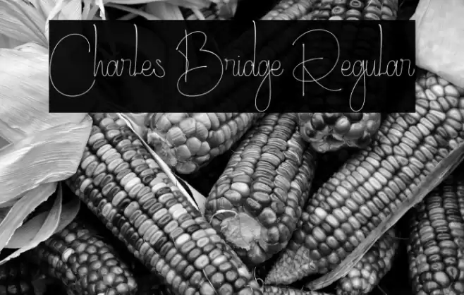 Charles Bridge Regular Font examples