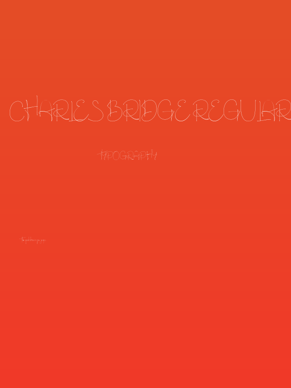 Charles Bridge Regular Poster