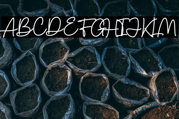 Charles Sebastian Example 1