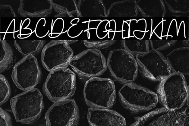 Charles Sebastian Font examples