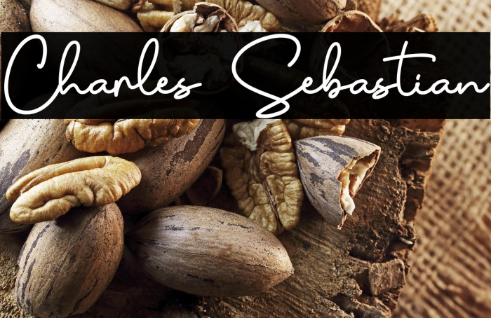 Charles Sebastian Example 1