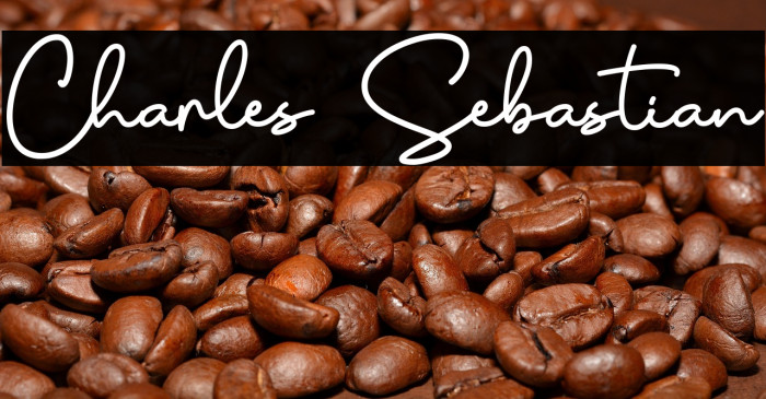 Charles Sebastian Example 2