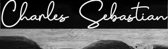 Charles Sebastian Font examples