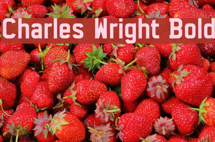 Charles Wright Bold フォント examples