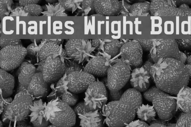 Charles Wright Bold Font examples
