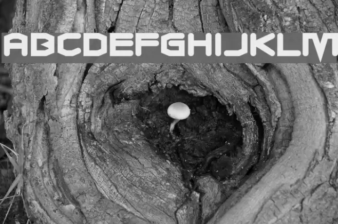 Charles in Charge Font examples