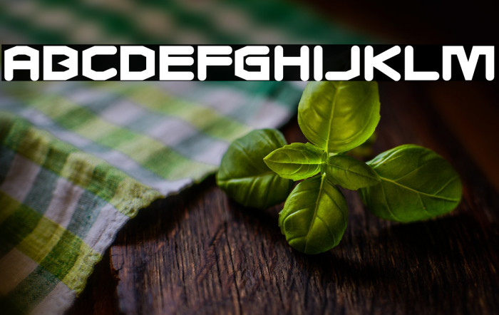 CharlesinCharge-Regular Example 2